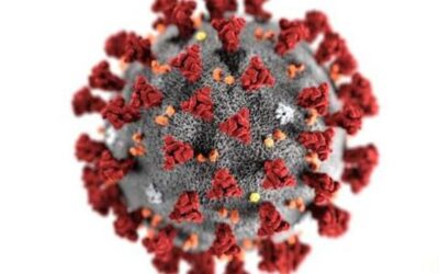 On this COVID-19, begin your work!