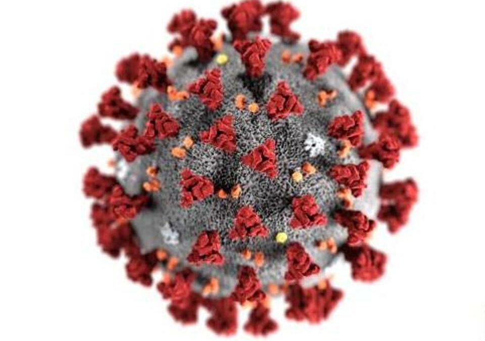 On this COVID-19, begin your work!